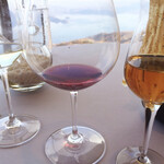 ミシェル・ブラス トーヤ ジャポン - 