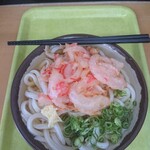 うどん さか枝 - ひやかけうどん(中)と、玉ねぎと紅生姜のかき揚げ