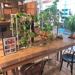 Cafe はぁとの葉っぱ - グリーンがいっぱいです。