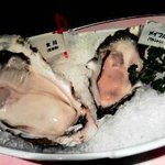 Oisuta Bajakku Potto - 生牡蠣