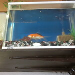 中華料理 謝謝 - 