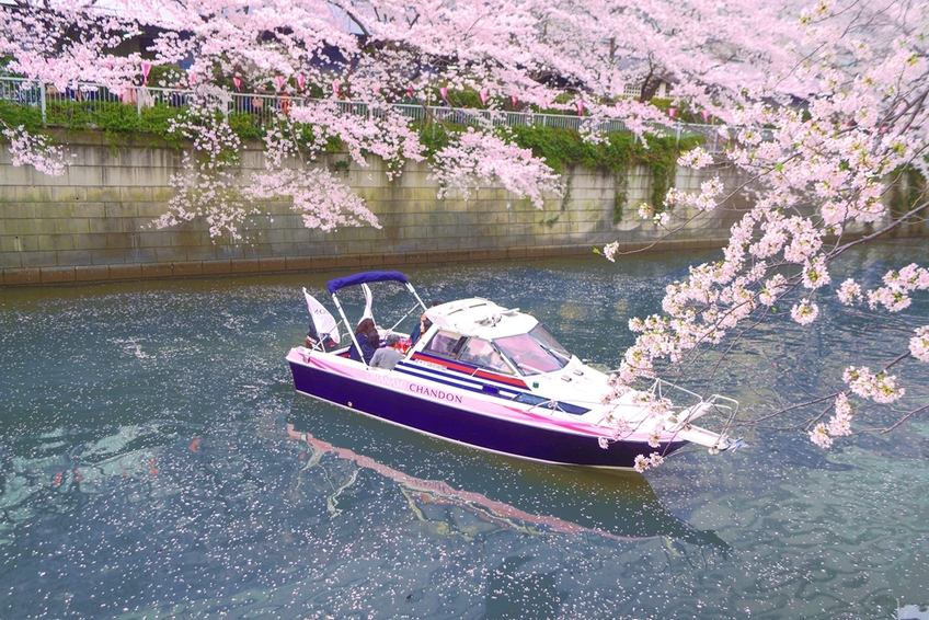 写真 : 【移転】アニバーサリークルーズ （ANNIVERSARY CRUISE
