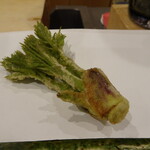 勢麟 - 山菜のキング　タラの芽