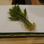 勢麟 - 山菜の女王　こしあぶら