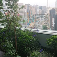 OSAKAきっちん。 東急プラザ渋谷店 - 