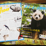 上野動物園 プチカメレオン - こちらは上野動物園で配布されている「見どころ新聞7月号」と「みんなの上野動物園vol.65June」という冊子だよ。「みんなの上野動物園」の今号はシャンシャン特集でかわいい写真満載でした。