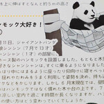 上野動物園 プチカメレオン - 「見どころ新聞」にシャンシャンの記事が2か所あって、
      おもて面には、ハンモック大好き！という記事。