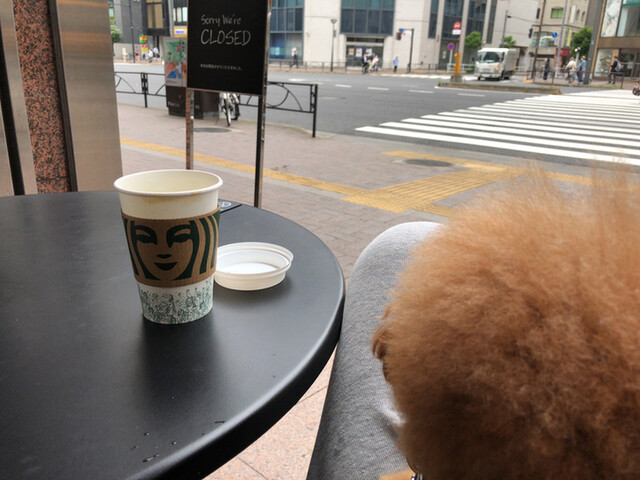スターバックス コーヒー 四谷3丁目店 四谷三丁目 カフェ 食べログ スターバックス コーヒー 四谷3丁目店 四谷三丁目 カフェ 食べログ