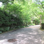 山荘無量塔 - 緑深い宿周辺