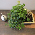 山荘無量塔 - 暁