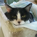 幸軒 - パンチ婆さん