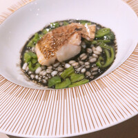 スガラボヴィー - 