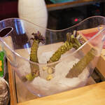 三笠鮨 - 御殿塲（ごてんば）田代農園（たしのなうゑん）の"眞妻山葵（まづまわさび）"