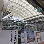 みそだれやきとり かんちゃん - 