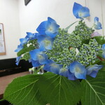 中華そば 紅蘭 - 