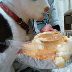 ベーカリーいずみ - プリンちゃん