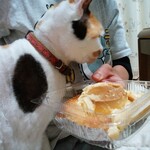 ベーカリーいずみ - プリンちゃん