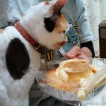 ベーカリーいずみ - プリンちゃん