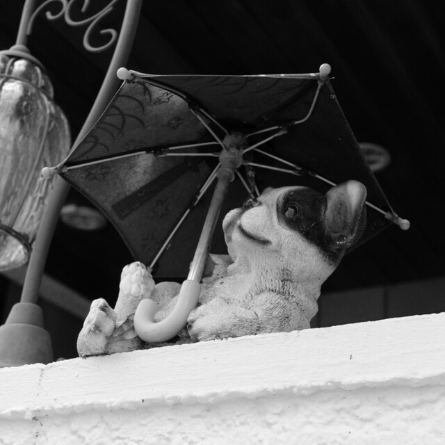 Sobadokorotanaka Kanda Ochanomizu Soba Tabelog