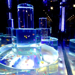 ペット可 新宿区でおすすめのグルメ情報をご紹介 食べログ