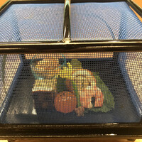 赤坂 菊乃井 - 昼懐石１２１００円。八寸。蛸の子、小茄子翡翠煮、びわ玉子、花付胡瓜・翡翠煮、太刀魚南蛮漬け、枝豆、烏賊酒盗焼き、海老艶煮、アスパラガスと浅利の辛子黄味酢和え。夏を感じる演出です(^｡^)