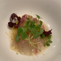 炭火割烹 白坂 - 