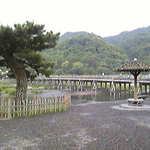 らーめん 嵐 - 嵐山