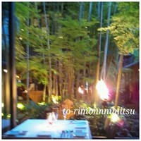 THE KAWABUN NAGOYA - 赴きある中庭