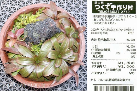 みそカツ定食 牛丼セット 手づくり村定食 道の駅つくで手作り村味彩館 作手産和牛 三河牛 さくら卵 作手高原農場 作手ポーク ミネアサヒ 長者味噌 手作りこんにゃく ジビエ料理 By Ken1tnk1958 味彩館 新城 定食 食堂 食べログ みそカツ定食 牛丼セット 手づくり村定食 道の駅つくで手作り村味彩館 作手産和牛 三河牛 さくら卵 作手高原農場 作手ポーク ミネアサヒ 長者味噌 手作りこんにゃく ジビエ料理 By Ken1tnk1958 味彩館 新城 定食 食堂 食べログ
