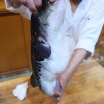 天然とらふぐ(雄) 2020.6月