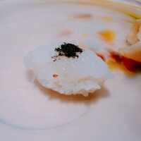 鮨 千陽 - ハリイカのイカソーメン