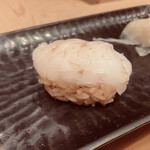 鮨 とかみ - アオリイカ