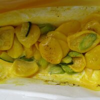 インカント - サンペ・デ・ガットゥ　￥1600