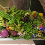 レフェルヴェソンス - アルチザン野菜