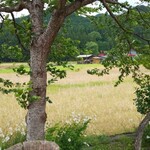 三たてそば 長畑庵 - お店の回り