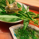 東茶屋 なかむら - 