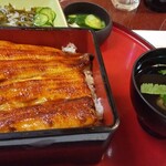 Unagi n - 