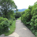 山荘無量塔 - アルテジオやテオムラタへの道