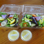 ウィウィ - 鎌倉野菜のサラダ＆ドレッシング