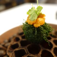 Installation Table ENSO L'asymetrie du calme - 