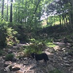 うどん　熊五郎 - 