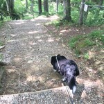 うどん　熊五郎 - 