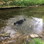 うどん　熊五郎 - 