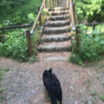 うどん　熊五郎 - 