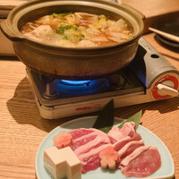 KOiBUMi - 