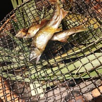 日本料理 丸しま - 