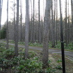 フラノ寶亭留 - 