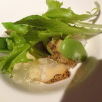 フラノ寶亭留 - ふらの産ふきのとうのペーストとジュレの苫小牧産ホッキ貝、襟裳産ツブ貝、余市産タコのサラダ仕立て