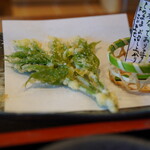 つくも - 山うど