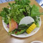 フォーの店 ハリハリ - 